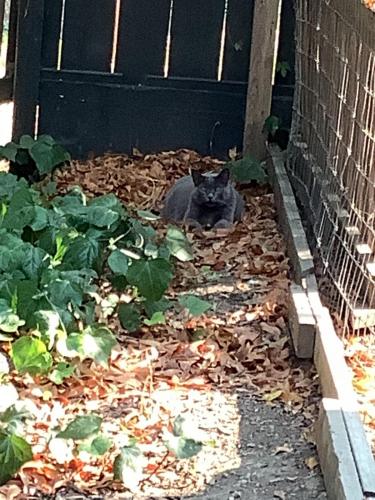 D6F291AE-63CE-4CDB-B112-23A225598E74