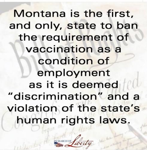 74B92919-224C-48A3-9988-2CBB320C8AE6