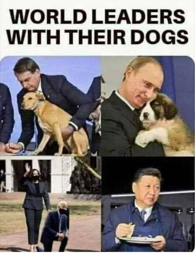 43061149-7CE0-4606-944E-26A3B70A5964