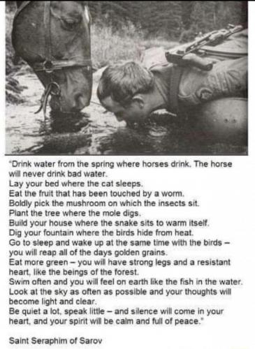 31522BAC-55FA-440C-BBED-52D24C15EAB5