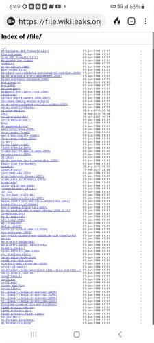 Screenshot_20210810-184930_DuckDuckGo