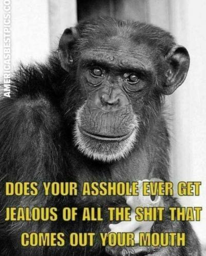 202104181255-rTrRulO40F