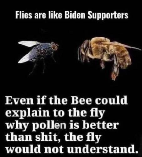 239767861_1226318627842235_43498693178936338_n