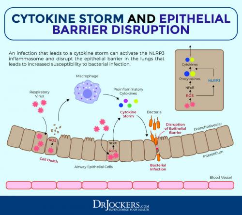 #CytokineStorm & Epithelial barrier disruption