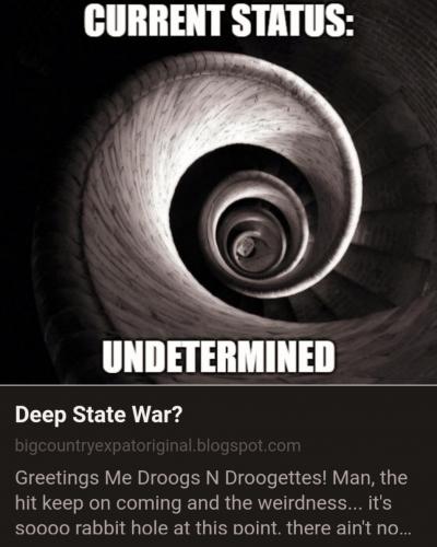 Screenshot_20210831-152537_DuckDuckGo