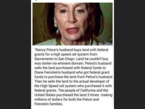 PelosiBitch1