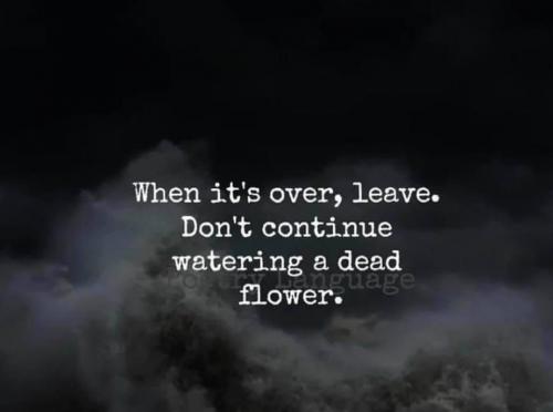 4FF79727-ACE4-4D6B-B2C6-5161AE53FC8C