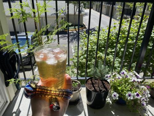Beautiful Deck With Plants, a Drink and Herbs!