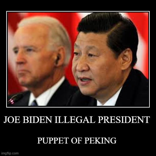 BIDENPEKINGPUPPET