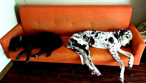 6B5A3B81-7962-4B22-997B-E1C10E1D9627