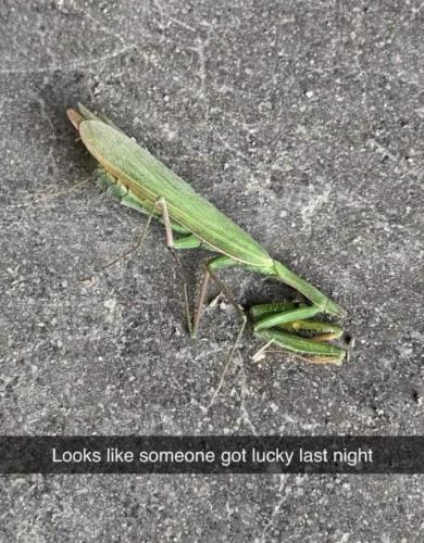 34D76376-2D98-45B6-9176-9A40FC74DDA8