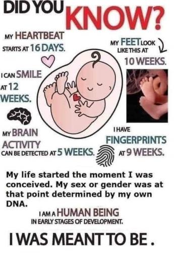 28B0FC63-C14A-4421-983F-D981FA667DD0