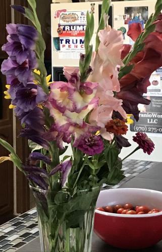 AC40E2DC-8801-4B93-9175-7D820C6EEBCE