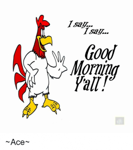 1-saytsau-i-say-good-morning-yall-_ace_-12236891
