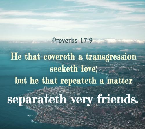 Proverbs 17:9
