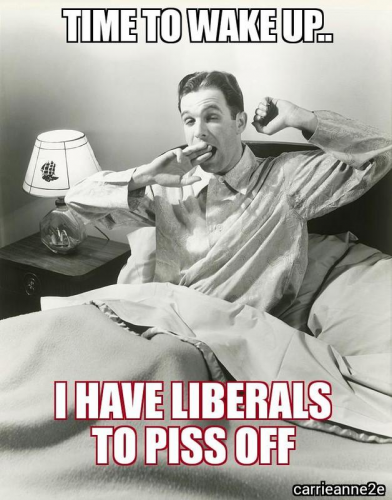 liberals to piss off