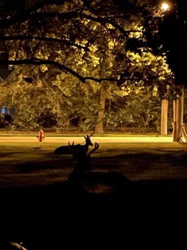 419CAC7B-003F-4F51-BED0-D3F19C9EB64E