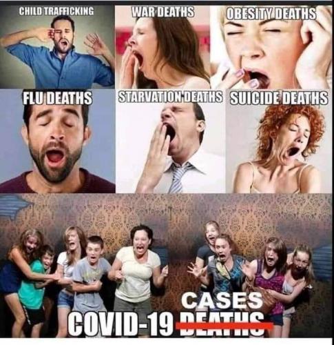 64A8124D-386D-496E-B44B-D7490F432B6D