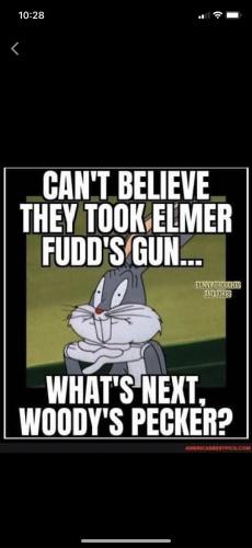 image_1629756317.604