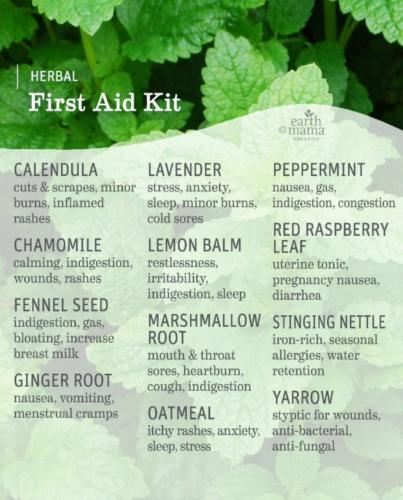 Herbal first aid kit