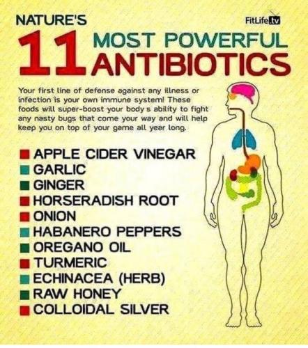 11 POWERFUL ANTIBIOTICS