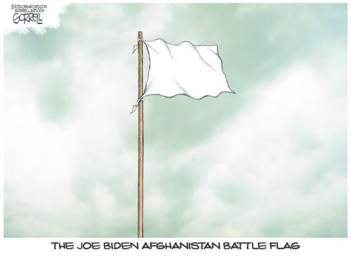 Biden flag