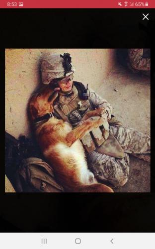 Screenshot_20210827-205340_Parler