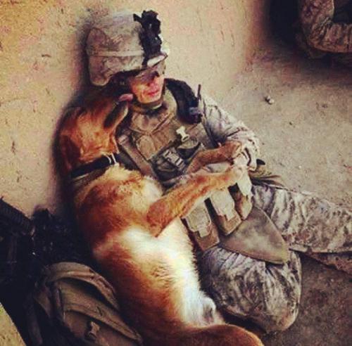 SoldierAndDog1