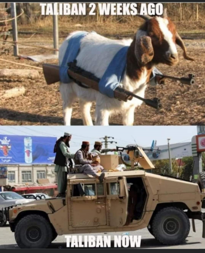 Screenshot_20210823-184021-219