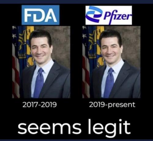 -4988262721262823713_121