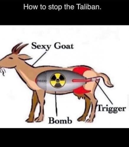 240588328_146679750886096_432913039510974070_n