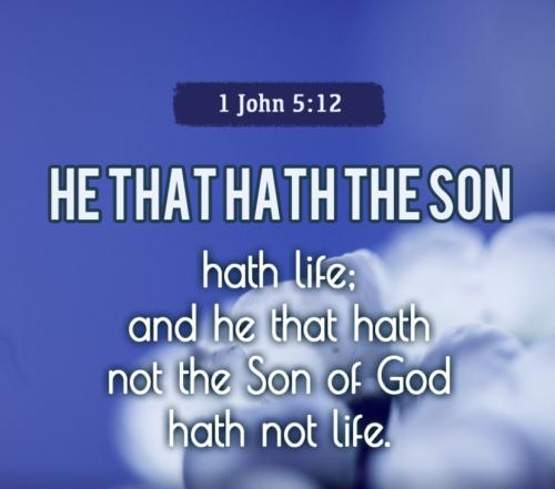 1 John 5:12