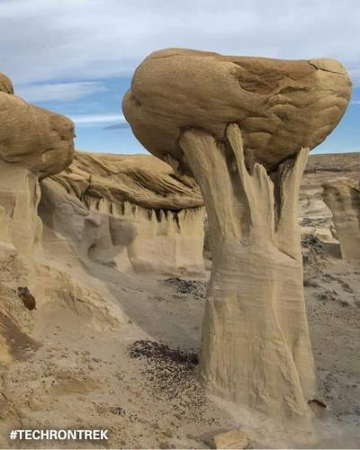 FB_IMG_1627406026877