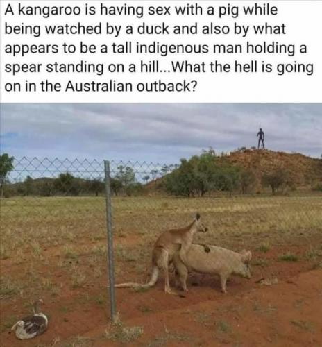 outback