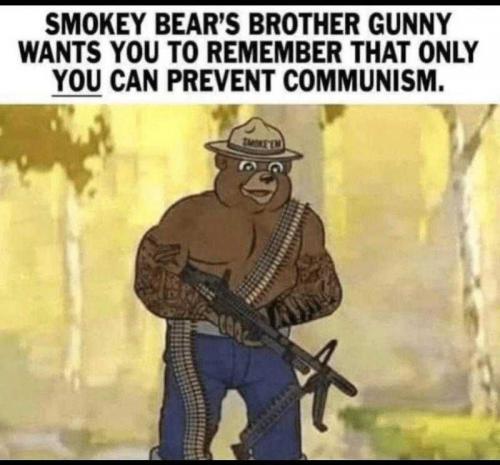 GUNNY