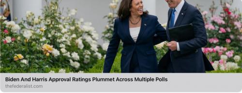 94200A6D-A2F1-4DBA-952E-84DEDEB08768