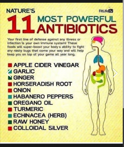 Screenshot_20210805-121916-427