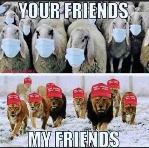 DE2CD73C-EE1F-42AD-8859-90F771BA1187