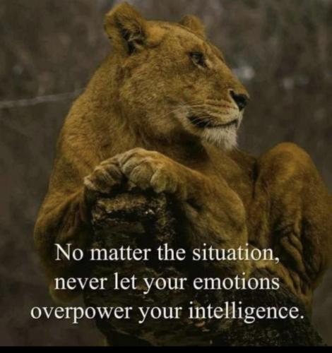 1EC2F6CE-2FE2-4057-A2DA-CC064F4747C6