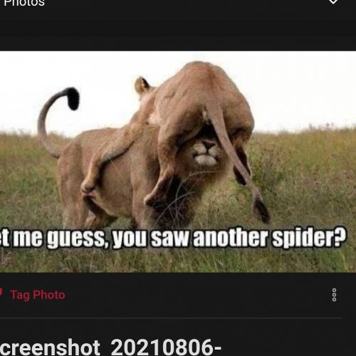 IMG_20210806_133021_797