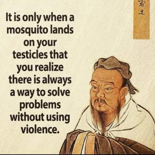 CCDA16EB-701D-4302-9579-32B548D3959C