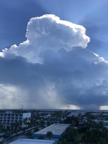 EEEBDCD1-D4BC-4B1C-B1B7-DD75AD39C412