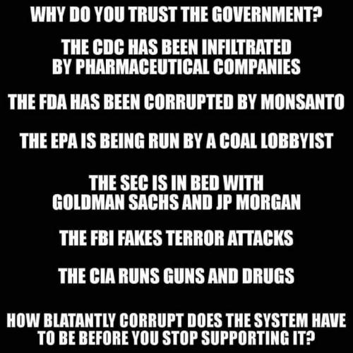 WHY DO YOU TRUST THE GOVERNMENT