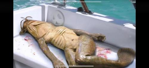 C49DBFDA-1720-4BD2-930B-2AD6C9144E71