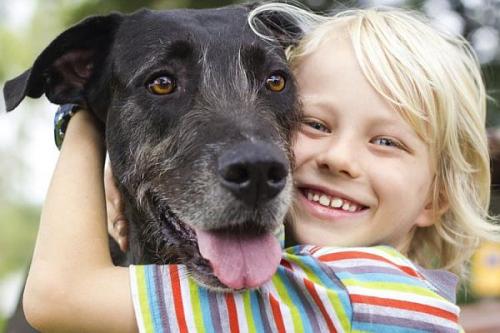 mp-2021dogappreciation1