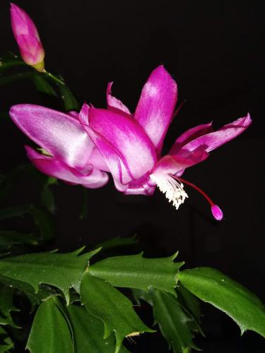 20190310_095743