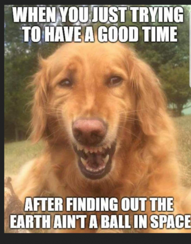 Screenshot_20210807-134908-105