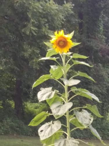 received_1453961401627966