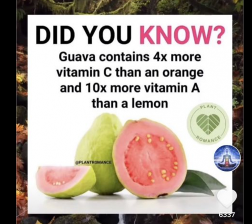 Screenshot_20210727-022832-172