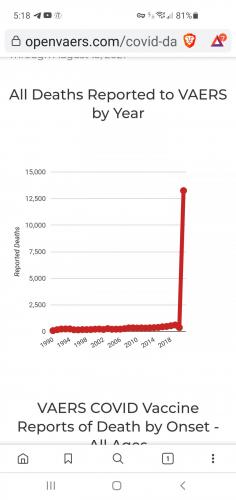 Screenshot_20210825-171842_Brave